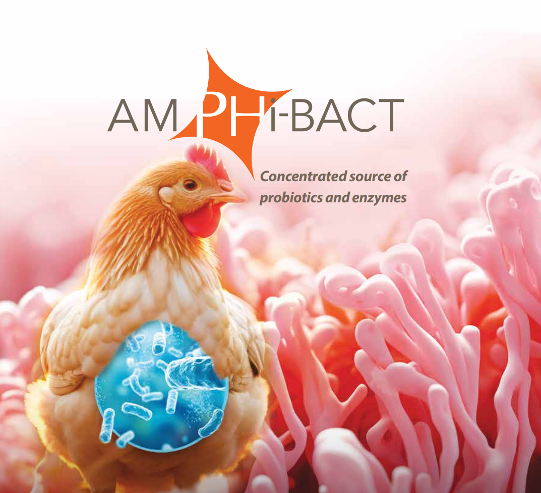 AmphiBact for Poultry: A Concentrated source of probiotics and enzymes.