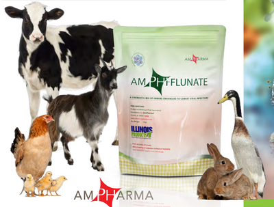 Amphi-Flunate 2 IN 1 Anti-Viral & Immune Boosting Agent
