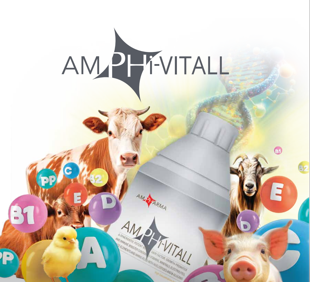 Amphi-Vitall: A Synergistic Potent Immune Booster & Growth Promoter